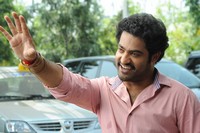 NTR Dammu Exclusive Stills